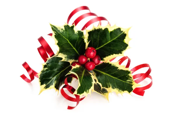 Sprig Holly Berries Ribbon Isolated White Background — Stock Photo, Image