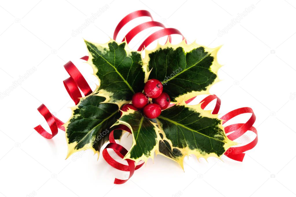 Sprig of holly with berries and ribbon isolated on a white background.