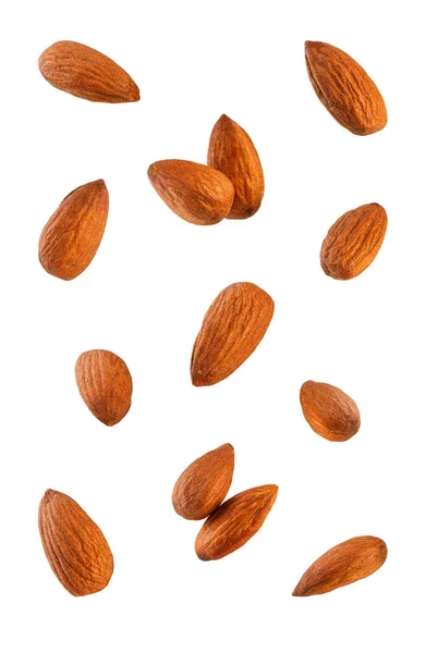 Collection Almonds Isolated White Background — Stock Photo, Image