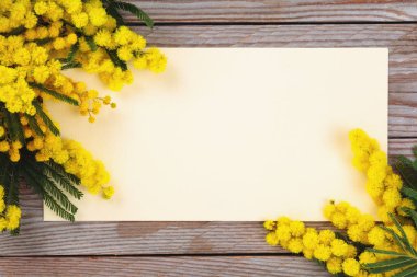 Mimoza çiçek ahşap rustik arka plan görüntüsünü kapatmak.