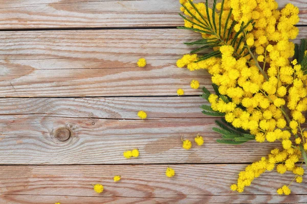 Primer Plano Flores Mimosas Sobre Fondo Rústico Madera — Foto de Stock