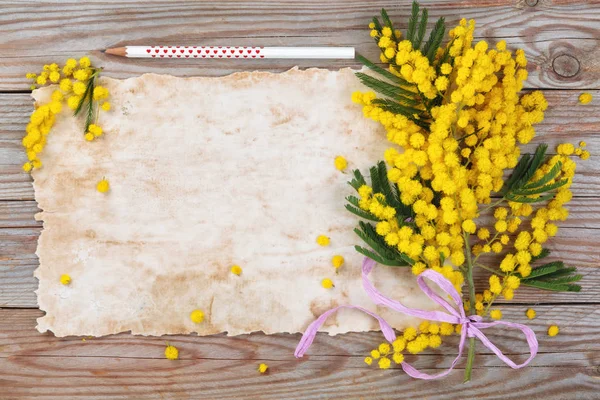 Close Shot Mimosa Flowers Wooden Rustic Background — Stock Photo, Image