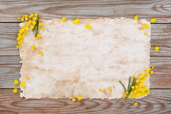 Κοντινό Πλάνο Του Μιμόζα Λουλούδια Ξύλινα Ρουστίκ Φόντο — Φωτογραφία Αρχείου