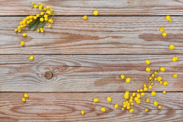 Κοντινό Πλάνο Του Μιμόζα Λουλούδια Ξύλινα Ρουστίκ Φόντο — Φωτογραφία Αρχείου