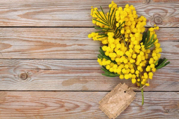 Colpo Ravvicinato Fiori Mimosa Sfondo Rustico Legno — Foto Stock