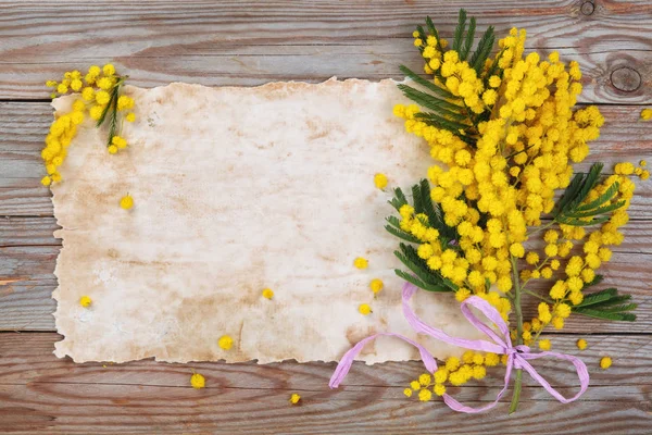 Mimoza Çiçek Ahşap Rustik Arka Plan Görüntüsünü Kapatmak — Stok fotoğraf