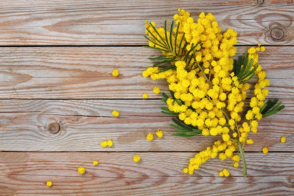 Primer Plano Flores Mimosas Sobre Fondo Rústico Madera —  Fotos de Stock