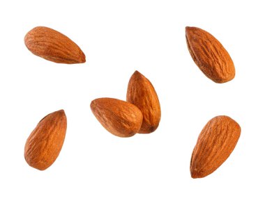 Badem Koleksiyonu. Beyaz arkaplanda izole.