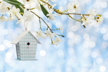 Beyaz ahşap ev hunging şeftali çiçek açan üzerinde şube.