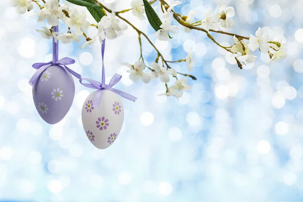 Marco de huevos de Pascua . — Foto de Stock