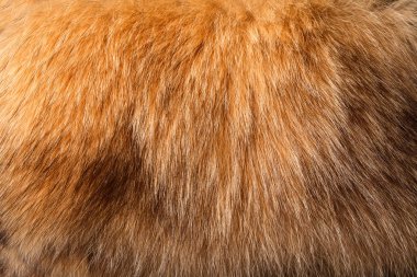 kahverengi ve siyah leopar deseni.