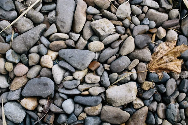 Muchas piedras pequeñas. Playa con piedras y hierba verde. piedras de guijarro . — Foto de Stock