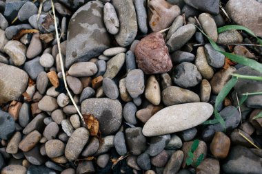 Bir sürü küçük taş. Taşları ve yeşil otları olan bir sahil. Çakıl taşları. 