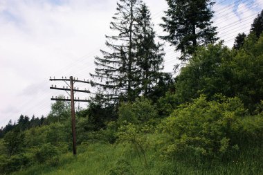 Elektrik direğiyle dağların manzarası. Bir sürü yeşil ağaç. Arabayla tatil. 