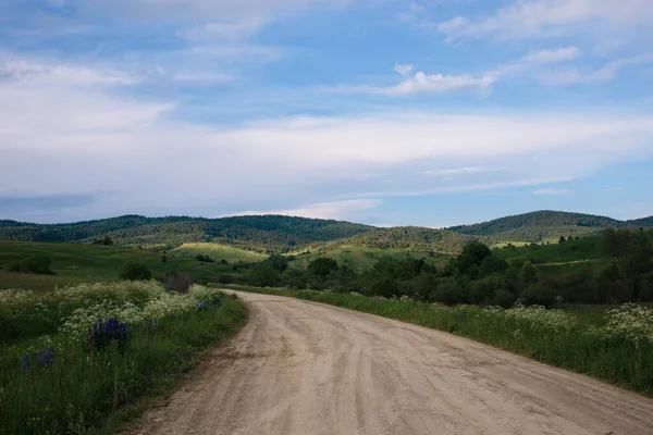 Ландшафт сільської незайманої дороги в горах. Багато зелених дерев. Відпочинок на машині . — стокове фото