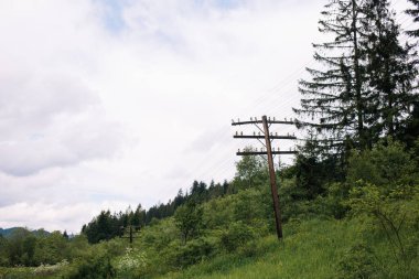 Elektrik direğiyle dağların manzarası. Bir sürü yeşil ağaç. Arabayla tatil. 