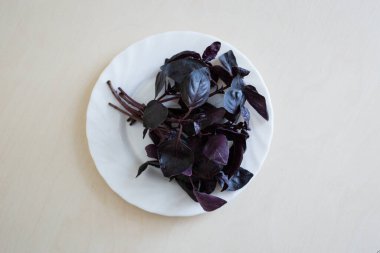 Arka plandaki beyaz tabakta taze fesleğenin üst görüntüsü. Sebze çeşnisi. Salata için sağlıklı malzeme.