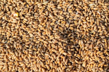 Tam tahıllı ekmek, bir sokak gıda pazarındaki siyah plastik sepetlerde satılıyor.