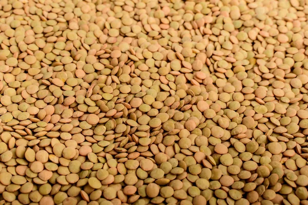 Natural Background Many Fresh Organic Green Lentil Beans Warm Light — Stock Photo, Image