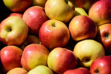 Bir sokak gıda pazarında satılık taze kırmızı elma grubu, doğal arka plan, yumuşak odak