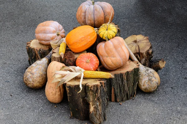 Group of decorative orange pumpkins and corn sticks on wooden logs displayed for sale at a street food market
