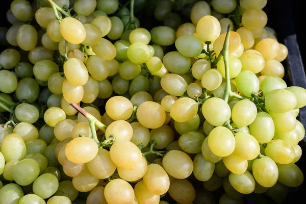 Raisins Jaunes Mûrs Frais Exposés Vente Dans Marché Street Food — Photo