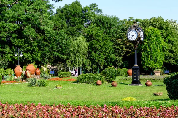 Hoofdingang Met Levendige Rode Bloemen Groene Bomen Gras Een Zonnige — Stockfoto