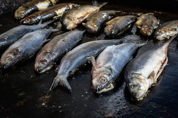 Makrelenfische Werden Auf Einem Street Food Festival Auf Einer Heißen — Stockfoto