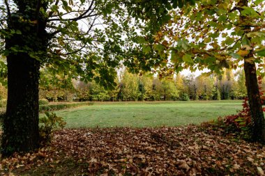 Bir sonbahar gününde, bahçesinde yeşil ve sarı ağaçlar olan manzara.