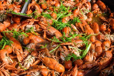 Bir sokak yemeği festivalinde büyük bir tavada domates soslu ve yeşil dereotlu büyük porsiyon pişmiş karidesleri kapayın, sağlıklı deniz ürünleri yemeye hazır, güzel turuncu tek renkli arka plan.