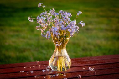 Cam bir vazoda yabani çiçek buketi.