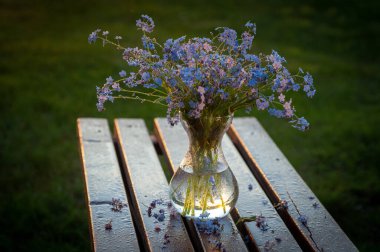 Cam bir vazoda yabani çiçek buketi.