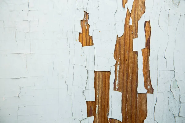 Kabuğu soyulmuş beyaz boyalı bir ağacın dokusu