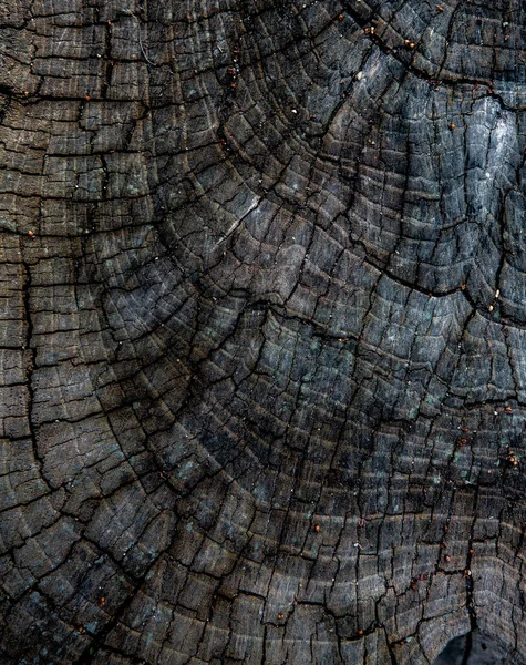 Drewniana Płyta Drewniany Wzór Tło — Zdjęcie stockowe