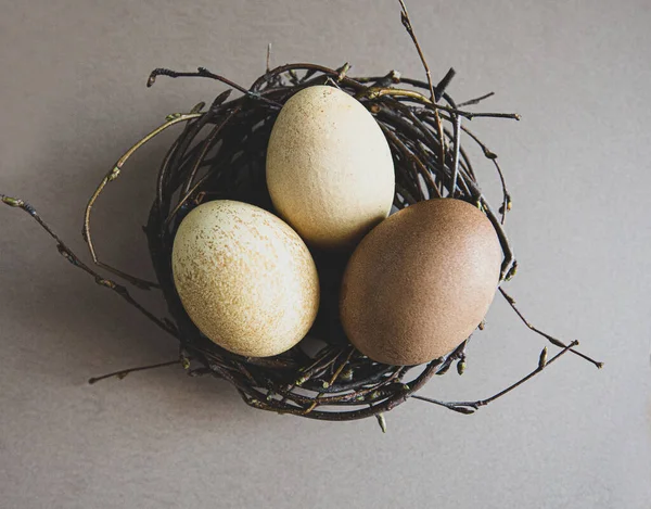 Yuvada eko boyalı paskalya yumurtaları