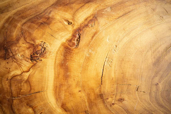 Drewniany Okrągły Krój Dębu Deska Krojenia Przekrój Ciętego Drewnianego Kawałka — Zdjęcie stockowe