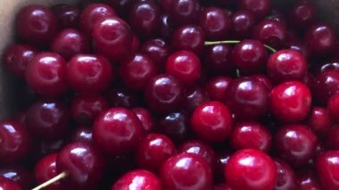 Kirazlar olgun kırmızı kirazlarla dolu bir kaseye düşer