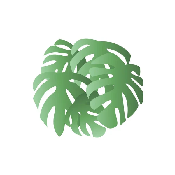 Monstera Leaves Poster Palm Tree Leaf Vector Illustration — Stock Vector