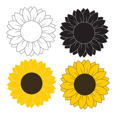 Sunflower blossom set in different styles vector illustration on white bakcghound clipart