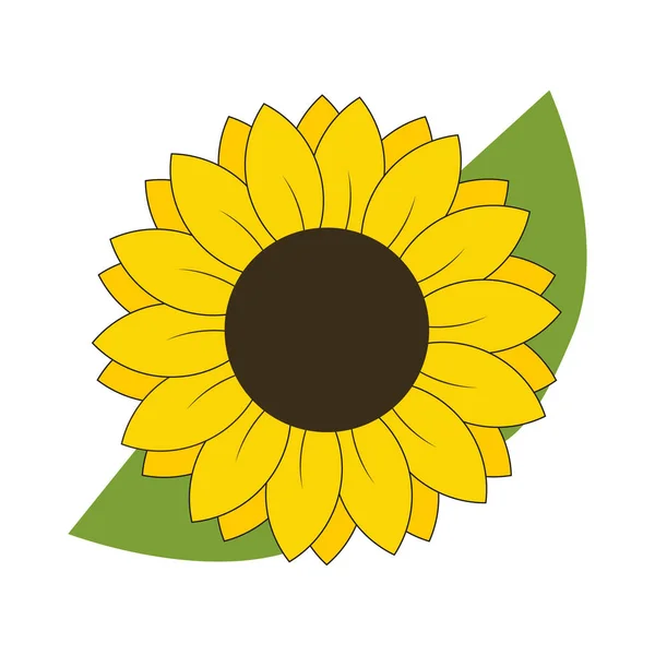 Ηλιοτρόπιο Λουλούδι Φύλλα Διάνυσμα Απομονωμένη Εικόνα — Διανυσματικό Αρχείο