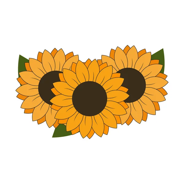 Trois Tournesols Avec Des Feuilles Élément Conception Vectoriel Illustrarion — Image vectorielle