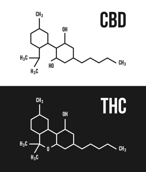 CBD ve THC moleküler yapı çizimleri. Cannabinol ve Tetrahydrocannabinol kimya esrar formülü vektörü