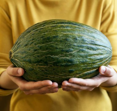 Bir kadın taze bir Özbek kavunu tutuyor.