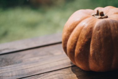 Şükran Günü. Sonbahar. Ahşap arka planda Cadılar Bayramı balkabağı, tatil süsü. Cadılar Bayramı havası.