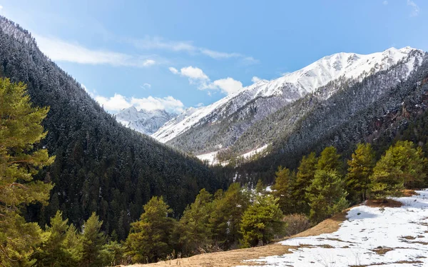 Montanhas de primavera caucasianas com picos de neve, panorama. Dombai, Rússia . — Fotografia de Stock