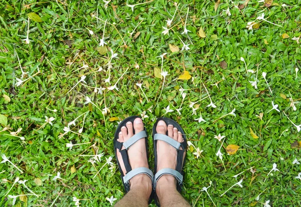 Fuß Auf Grasfeld Mit Indischen Korkblüten Millingtonia Hortensis — Stockfoto