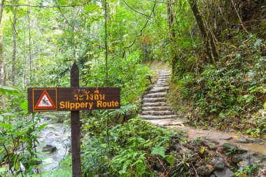 Tayland 'ın tropik ormanlarındaki şelaleye giden yol boyunca kaygan yol işareti.