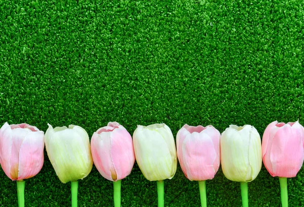 Yapay çimen arka planında pembe ve beyaz laleler, kopyalama alanı