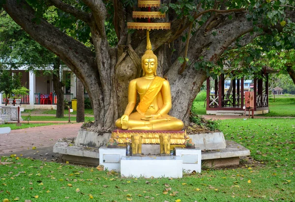 Όμορφο Χρυσό Χρώμα Άγαλμα Του Βούδα Κάθεται Κάτω Από Δέντρο — Φωτογραφία Αρχείου