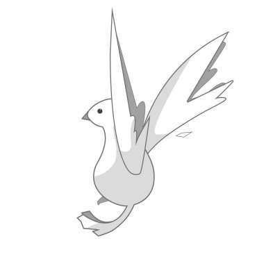 beyaz güvercin beyaz arkaplanda izole edildi